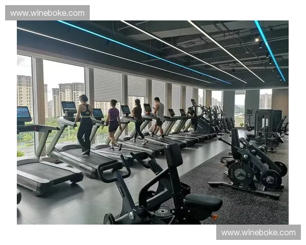 体育运动创新研究所：推动科技与竞技融合引领未来体育发展新方向