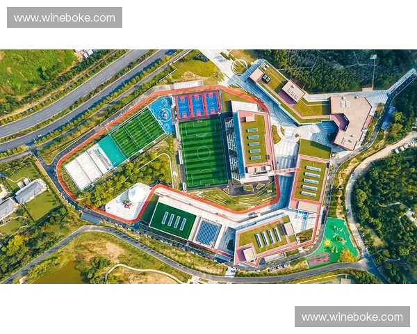 构建以体育推广体系为核心的全民运动发展新路径研究与实施策略探索