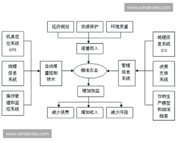 球类细节刷技术解析与应用:提升球员精准控制与技术水平的关键因素