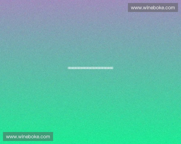 体育品牌创新崛起之路探索科技文化与全球市场融合新趋势发展前景