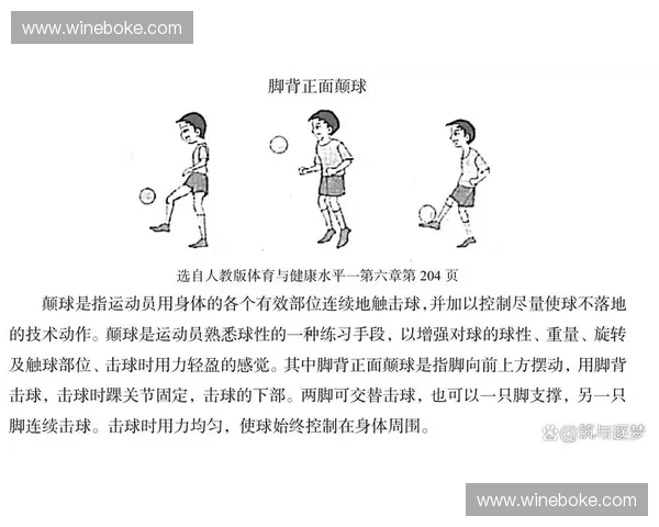 力量爆发训练全方位提升运动表现与身体素质的方法指南 力量爆发训练全方位提升运动表现与身体素质的方法指南